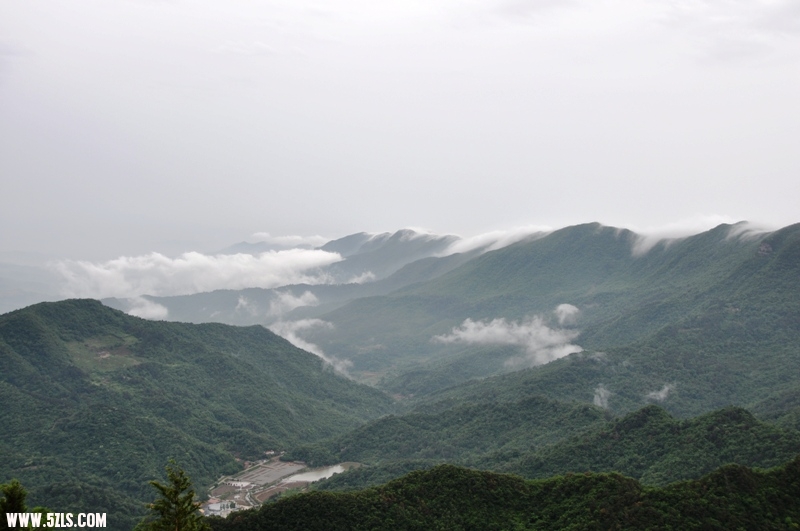 DSC_0372.JPG