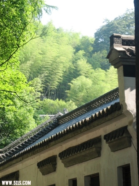 20011 058.jpg
