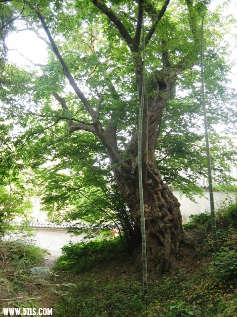 20011 035.jpg