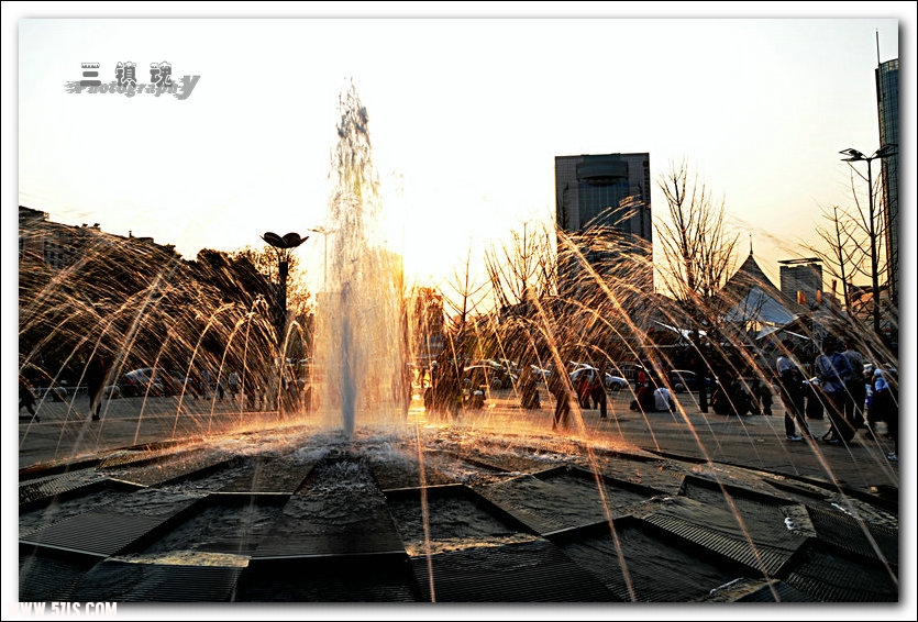 DSC_7175.jpg