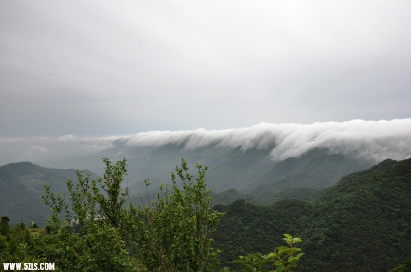 DSC_0425.JPG