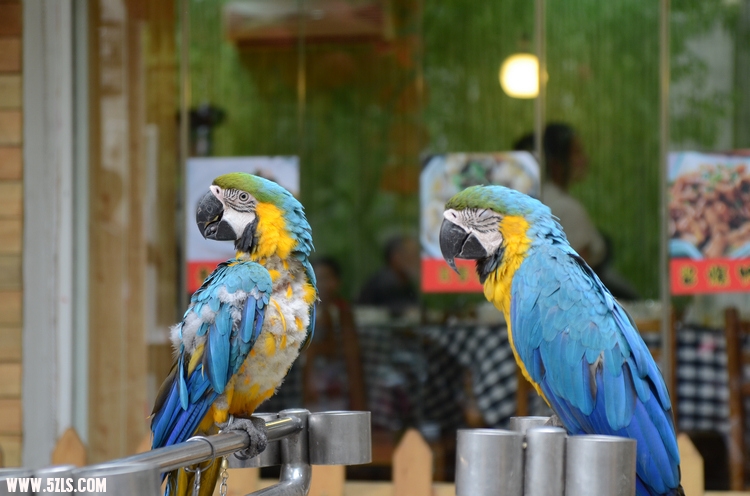 DSC_0667.JPG