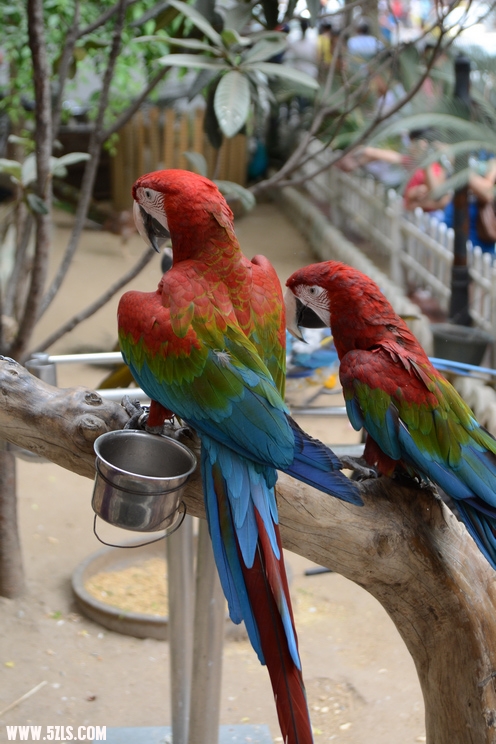 DSC_0668.JPG