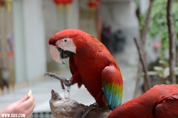 DSC_0671.JPG