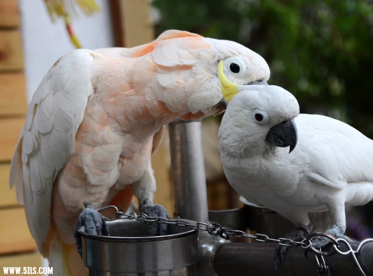 DSC_0673.JPG