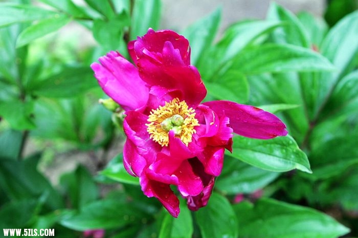 nEO_IMG_IMG_0401.jpg