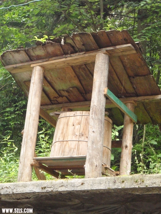 P6040078-1.jpg