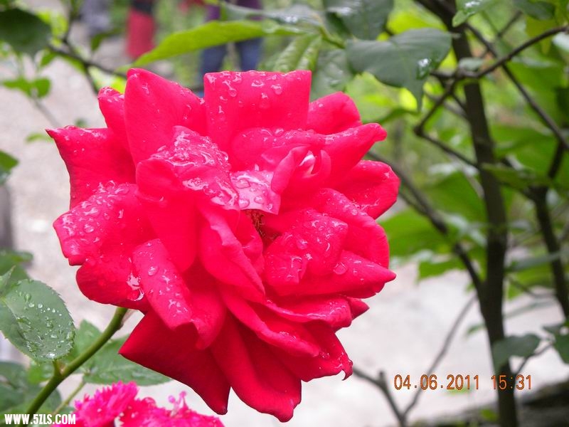 С  028.jpg