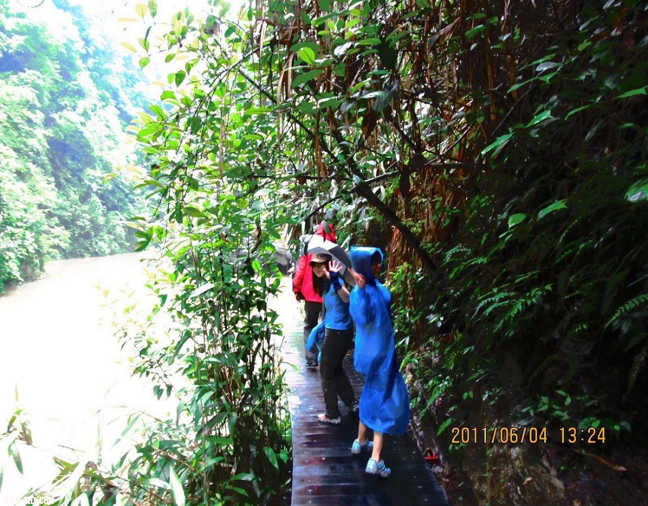 IMG_1209.jpg