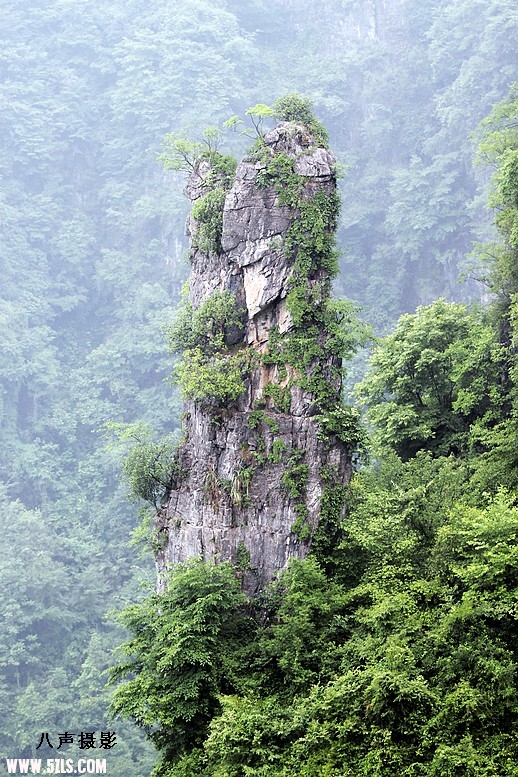 鍘熸潵鐤戜技鍒颁簡寮犲鐣