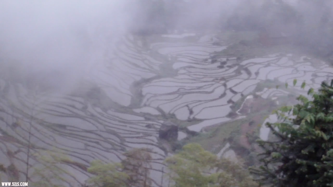 20110607194407.jpg
