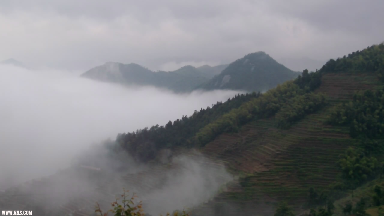 20110607194523.jpg