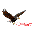 2.gif