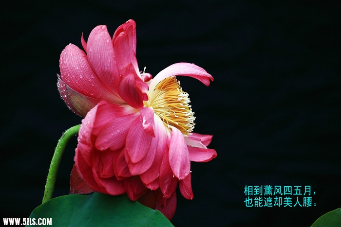 IMG_9970__1.jpg
