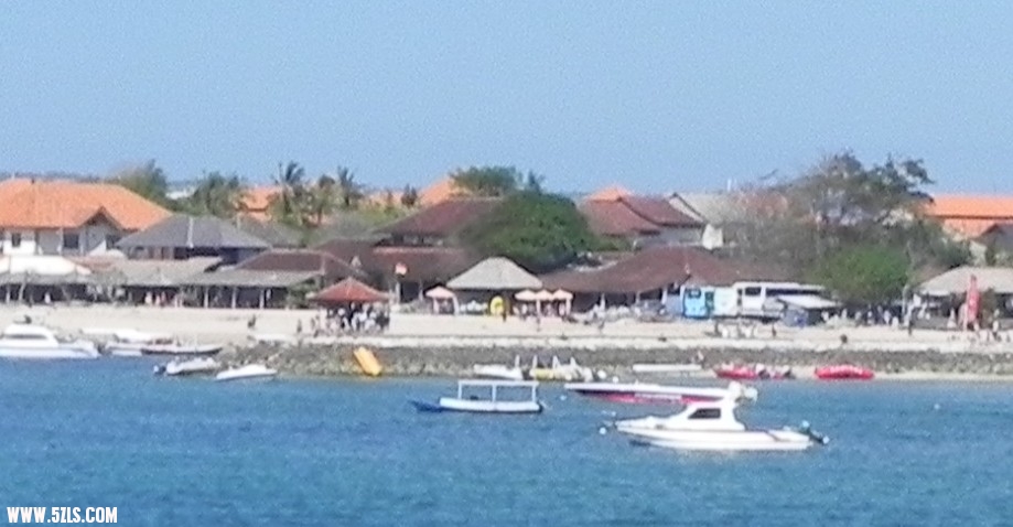250.jpg
