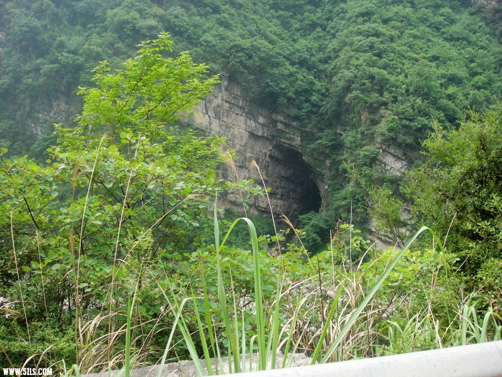 DSC03217.JPG