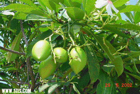 0a1465470fd7309fd0c86a22.gif