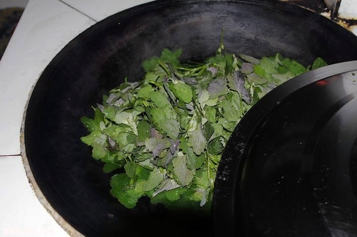 nEO_IMG__MG_0538.jpg