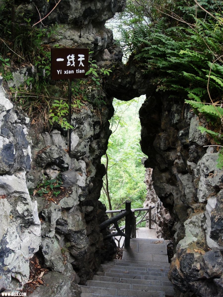 DSC03297.JPG