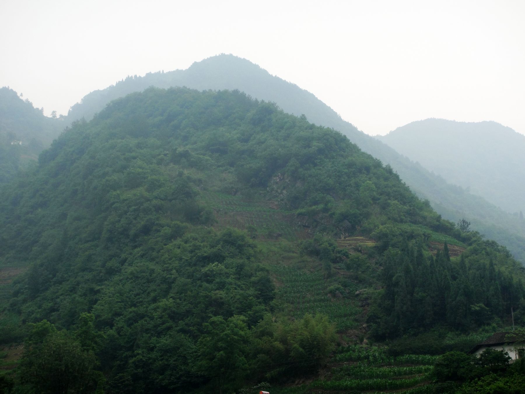 DSC03426.JPG