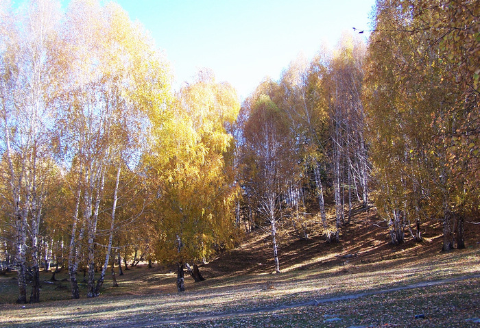 100_1615.jpg