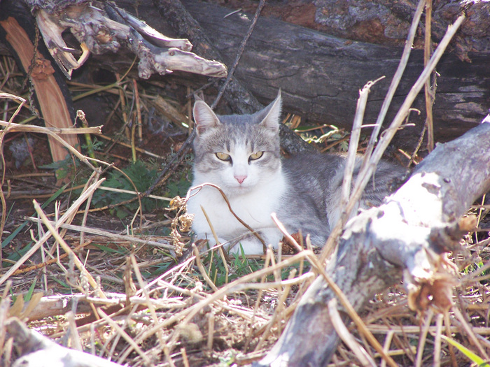 100_1992.jpg