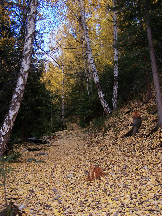 100_2241.jpg
