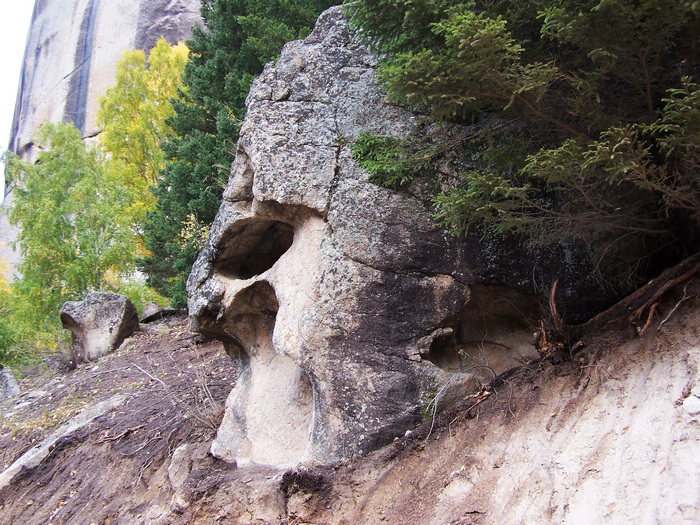 100_2205.jpg