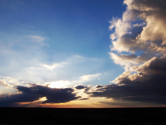 100_2363.jpg