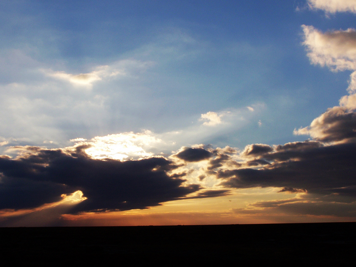 100_2366.jpg