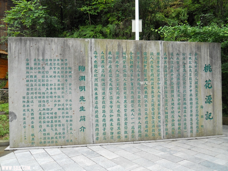 DSCN0823.jpg