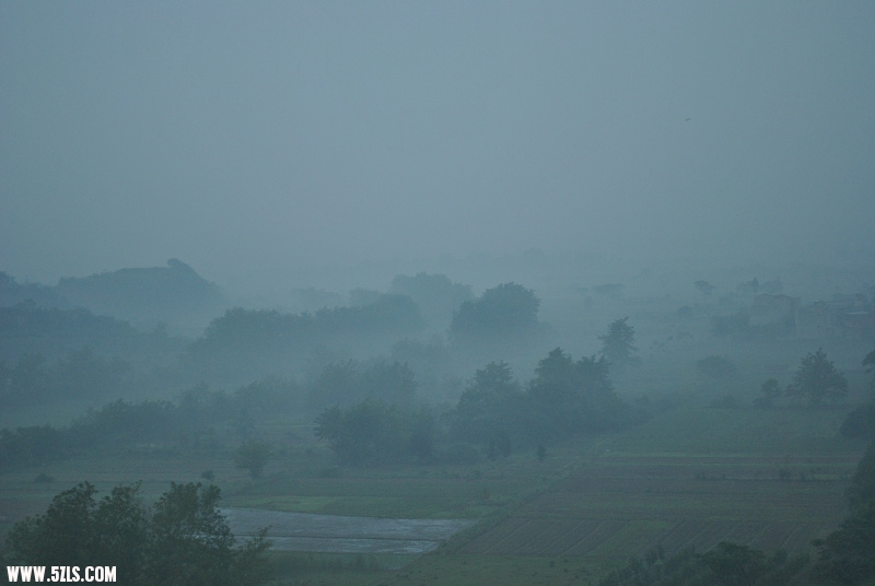DSC_0971.jpg
