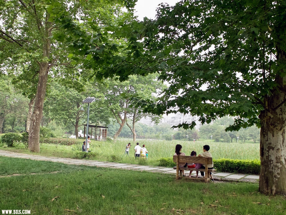 SDIM0385.jpg
