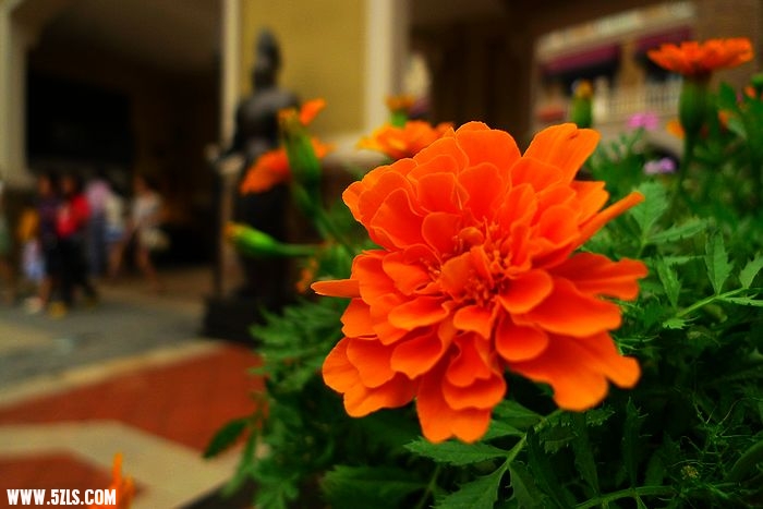P1080490.jpg