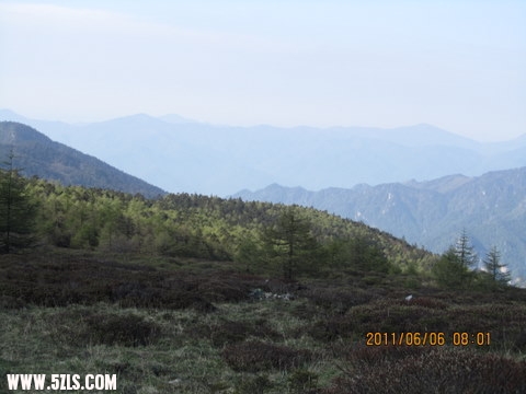 11-06-4-6 086.jpg