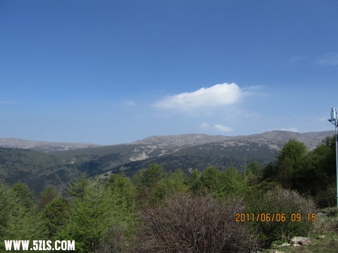 11-06-4-6 098.jpg