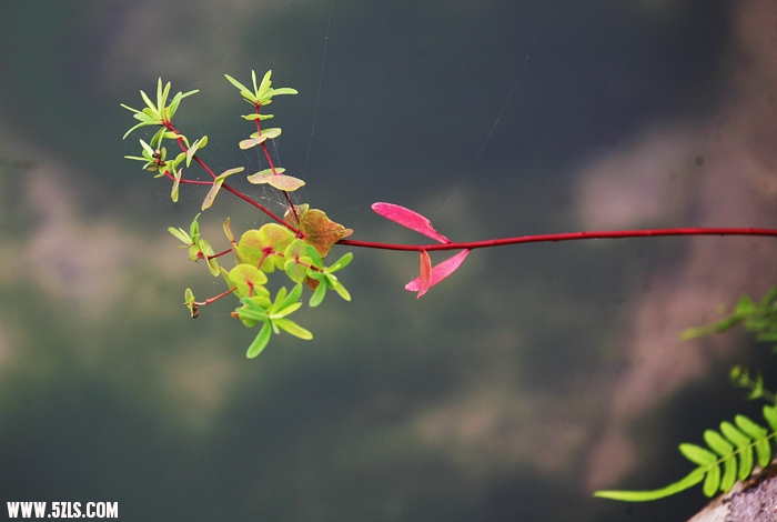 Ƭ 024.jpg