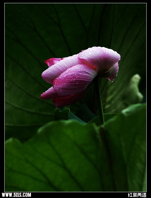 200771595914.jpg