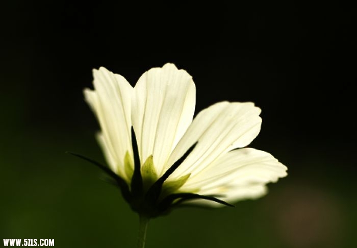 11061420207c6be27cadd12c98.jpg