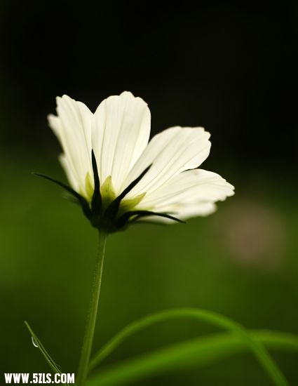 11061420207c6be27cadd12c98.jpg