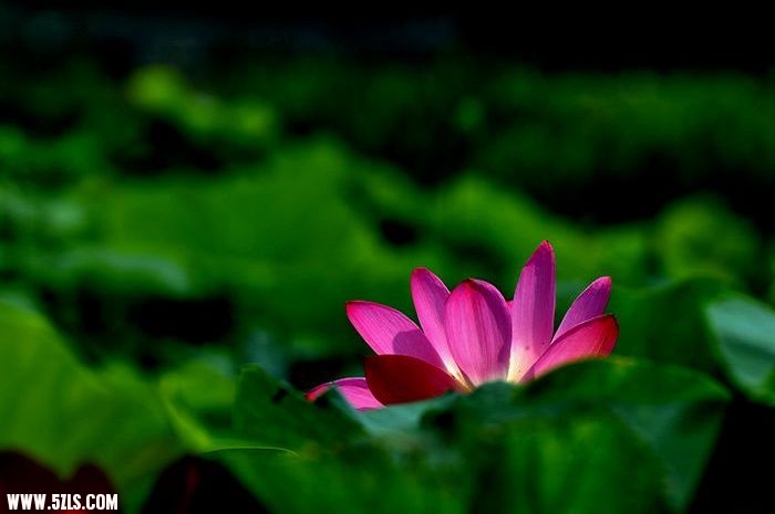 DSC_1477_2.jpg