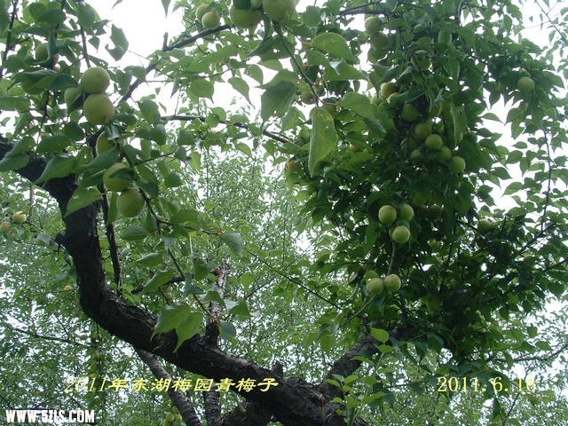 DSCF0070.JPG