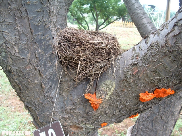 DSCF0077.JPG