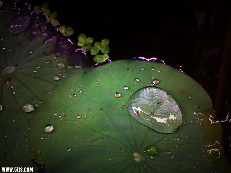 17062011358.jpg