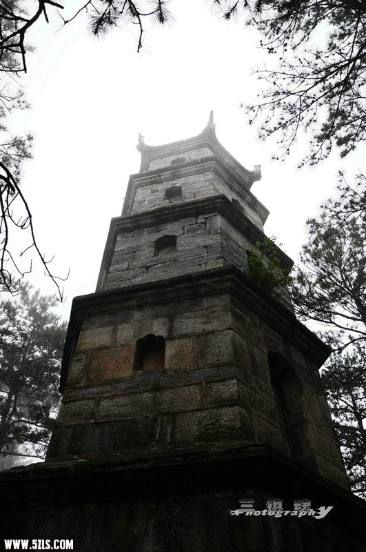 DSC_0166.jpg