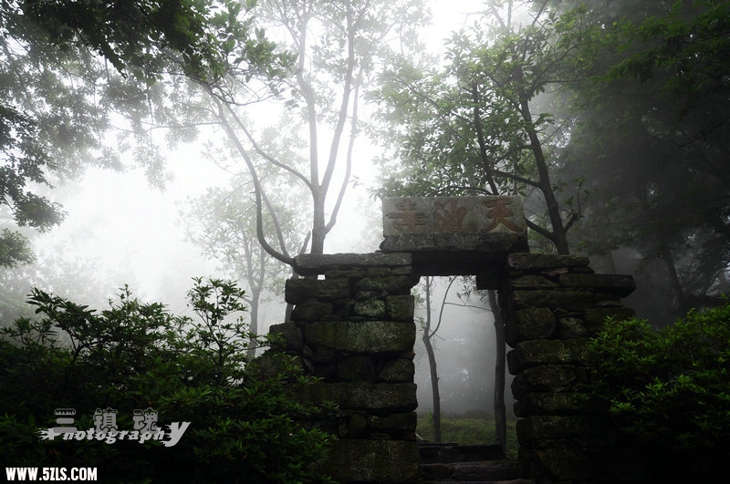 DSC_0176.jpg