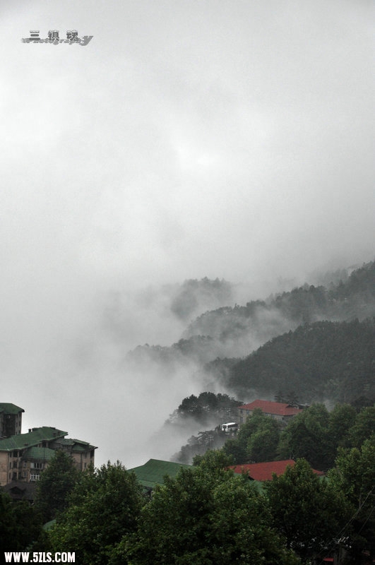 DSC_9563.jpg