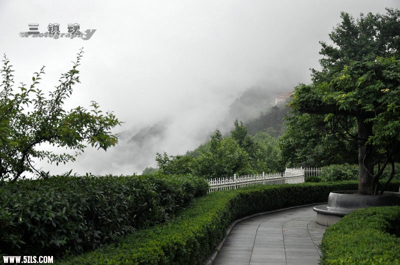 DSC_9580.jpg