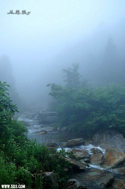 DSC_9687.jpg