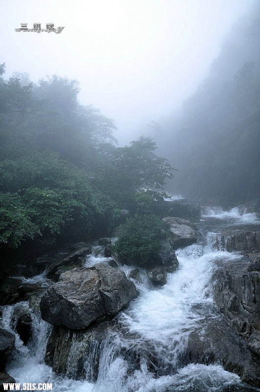 DSC_9707.jpg